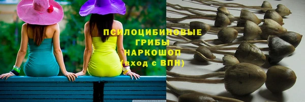 марки lsd Богданович