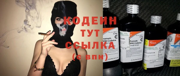 индика Богородск