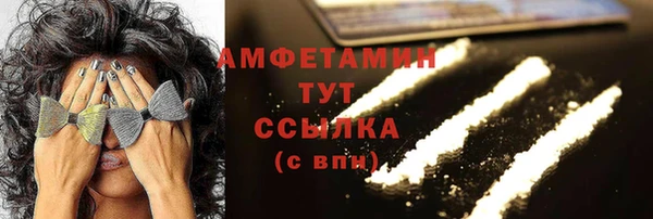 индика Богородск