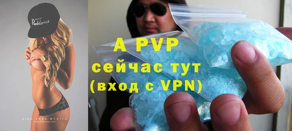 индика Богородск