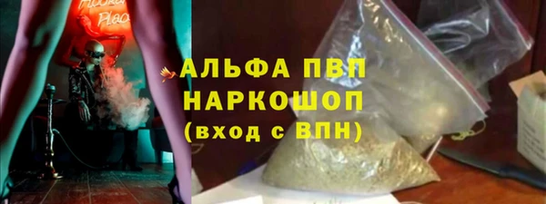 стаф Богородицк
