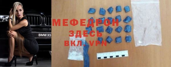 индика Богородск