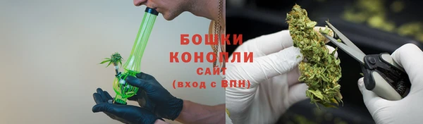 стаф Богородицк