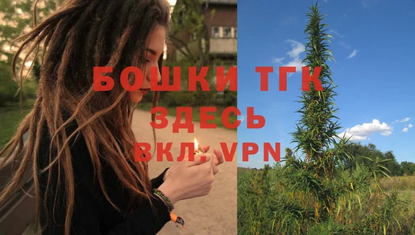 стаф Богородицк