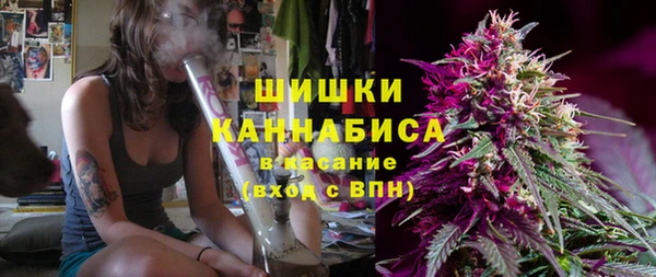 стаф Богородицк