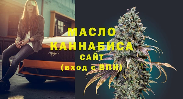 индика Богородск