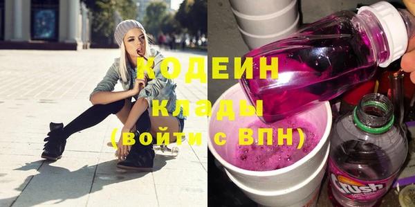 индика Богородск