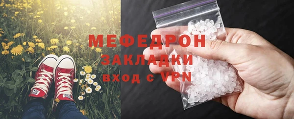 индика Богородск