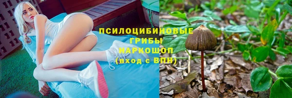 марки lsd Богданович