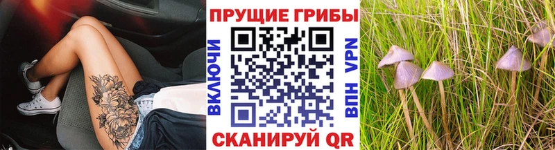 Галлюциногенные грибы Psilocybine cubensis  Мураши 